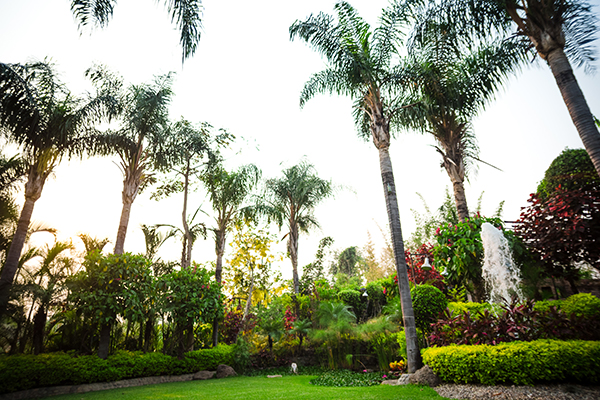 Jardín Paraiso Morelos