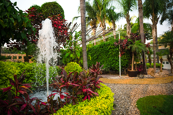 Jardín Paraiso Morelos